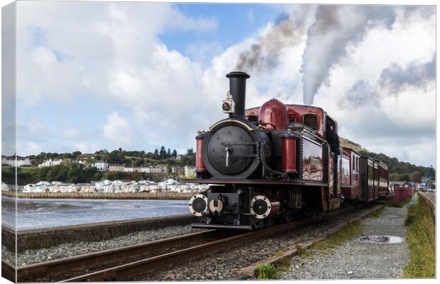 FR Double Fairlie powers away Canvas Print by Jason Wells