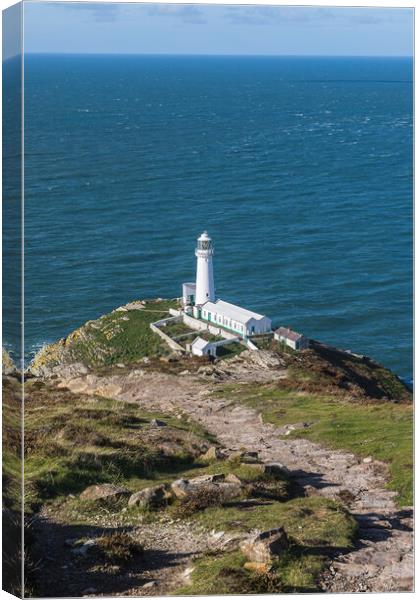Rocky pathway down to South Stack Lighthouse Canvas Print by Jason Wells