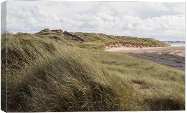 Rhosneigr sand dunes Canvas Print by Jason Wells