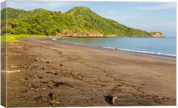 Deserted Playa Matapalo Canvas Print by Jason Wells