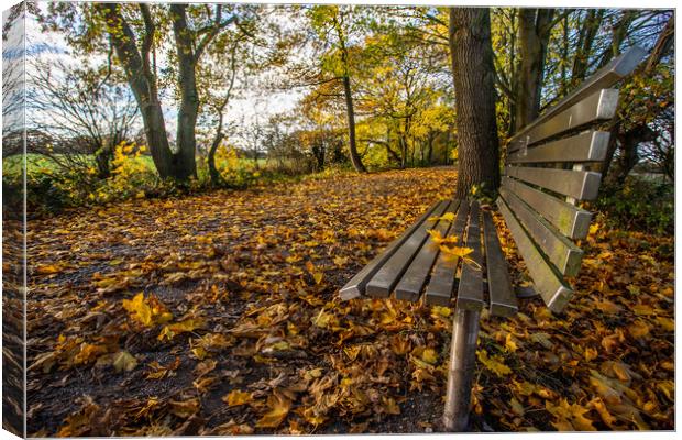 Silver bench on the golden leaves Canvas Print by Jason Wells