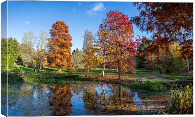 Ness Botanic Gardens panorama Canvas Print by Jason Wells