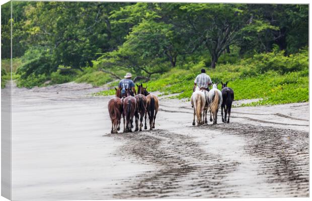 Horses trot along the beach Canvas Print by Jason Wells