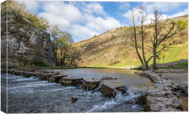 Dovedale stepping stones Canvas Print by Jason Wells