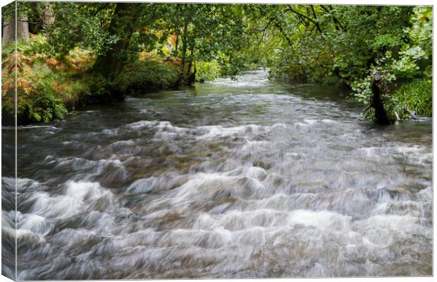 Water flowing towards Llyn Padarn Canvas Print by Jason Wells