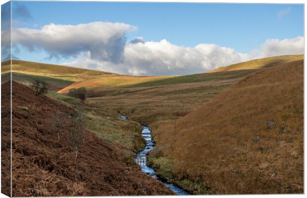 Water bending down the River Dane Canvas Print by Jason Wells