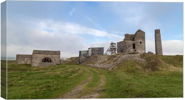Track to Magpie Mine Canvas Print by Jason Wells