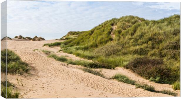 Formby sand dunes panorama Canvas Print by Jason Wells