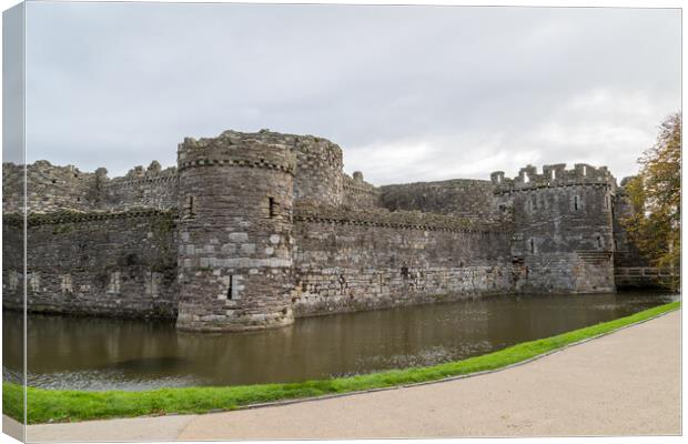 Beaumaris Castle Canvas Print by Jason Wells