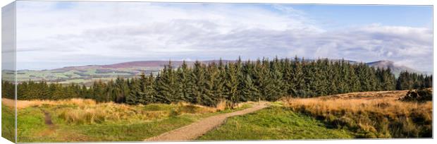 Beacon Fell Country Park panorama Canvas Print by Jason Wells