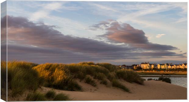 Sand dunes between Crosby beach and the marina Canvas Print by Jason Wells