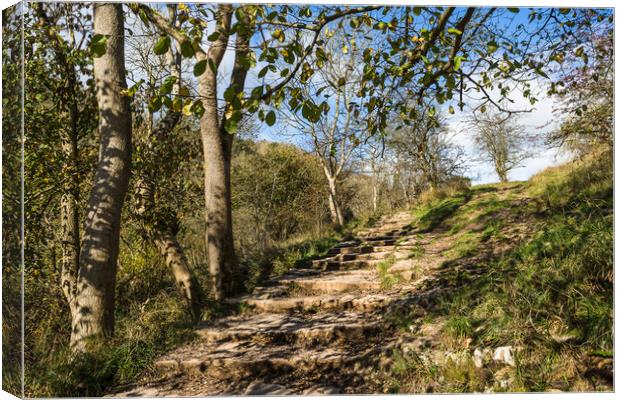 Steps lead up to Lovers Leap Canvas Print by Jason Wells