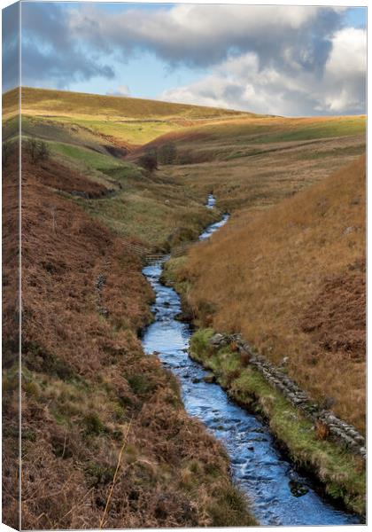 River Dane flowing down a valley Canvas Print by Jason Wells