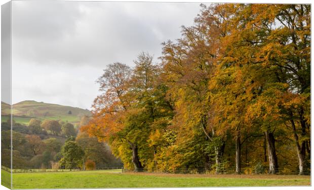 Autumn colours at Hathersage Canvas Print by Jason Wells