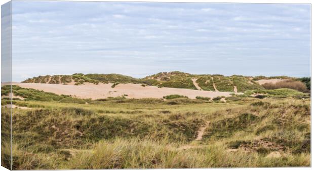 Sand dunes at the edge of Formby beach Canvas Print by Jason Wells