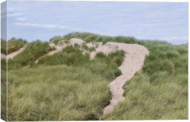 Foot prints over Formby sand dunes Canvas Print by Jason Wells