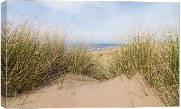 Sand dunes over Formby beach Canvas Print by Jason Wells