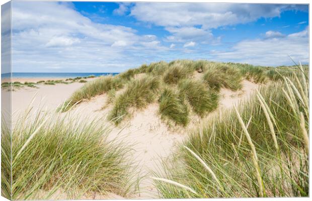 Holkham beach sand dunes Canvas Print by Jason Wells