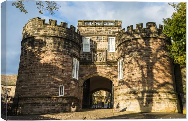 Cannons outside Skipton Castle Canvas Print by Jason Wells