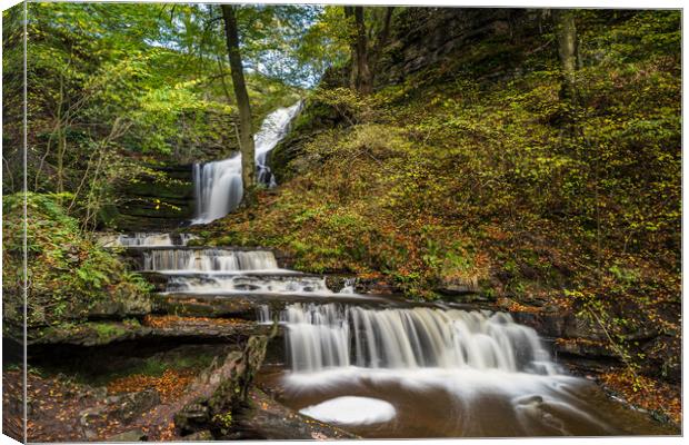 Scaleber Force Waterfall Canvas Print by Jason Wells