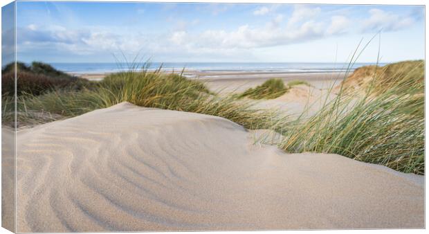 Formby sand dunes in black and white Canvas Print by Jason Wells