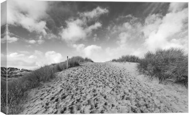 Formby sand dunes in black and white Canvas Print by Jason Wells