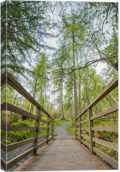 Tranquil Footbridge in the Heart of Lake District Canvas Print by Jason Wells