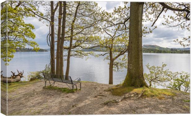 Bench on top of Jenkins Crag Canvas Print by Jason Wells