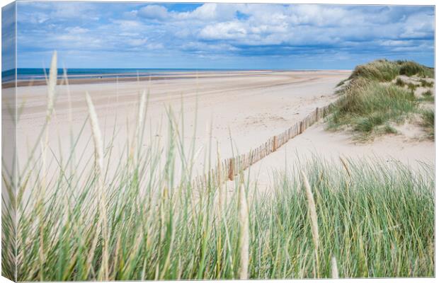 Holkham beach behind dune grass Canvas Print by Jason Wells
