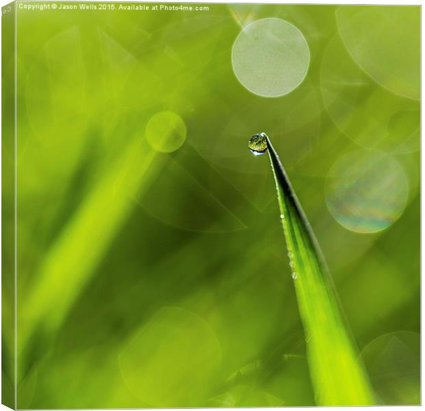  Droplet waiting to fall Canvas Print by Jason Wells