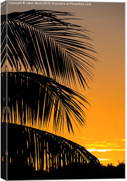 Silhouette of palm leaves Canvas Print by Jason Wells