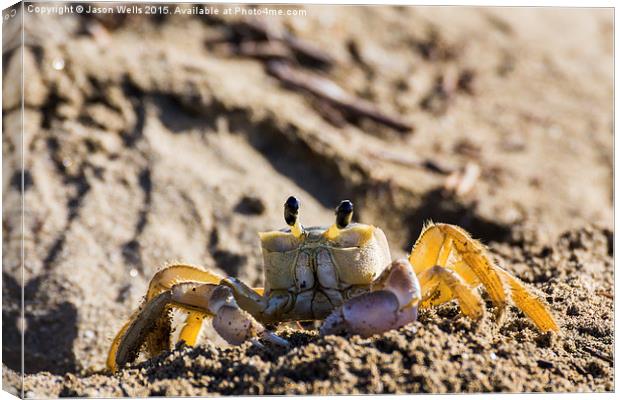 Sand crab searching the beach for food Canvas Print by Jason Wells