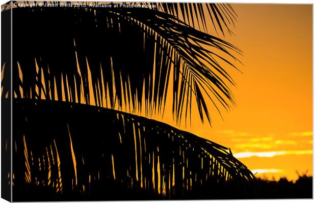 Palm tree silhouette Canvas Print by Jason Wells