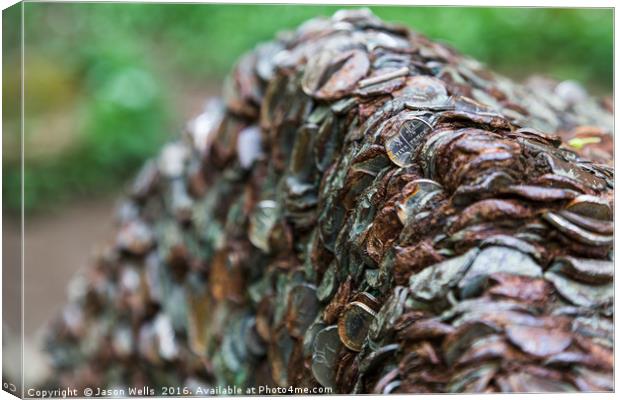 Coin tree Canvas Print by Jason Wells