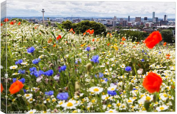 Widlflowers in front of the Liverpool skyline Canvas Print by Jason Wells
