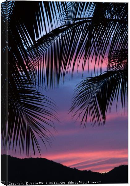 Silhouette of palm leaves Canvas Print by Jason Wells