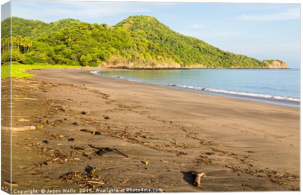 Deserted Playa Matapalo Canvas Print by Jason Wells