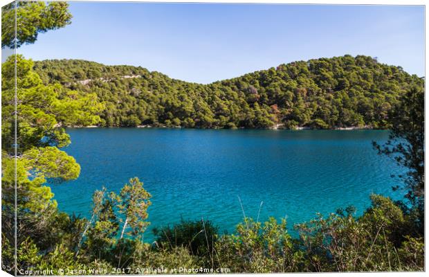 Lush greenery of Mljet National Park Canvas Print by Jason Wells