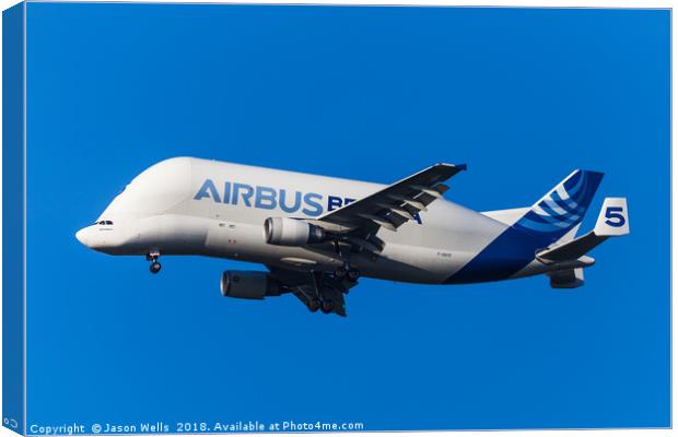 Beluga descends into Chester Canvas Print by Jason Wells