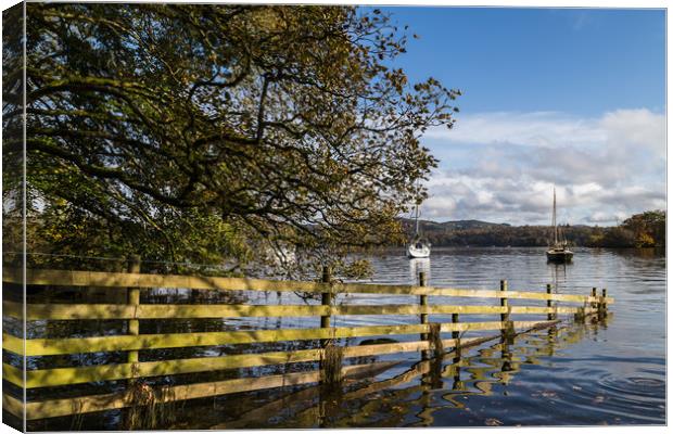 Sloping into Lake Windermere Canvas Print by Jason Wells