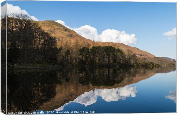 Trees on the shore of Derwent Water Canvas Print by Jason Wells