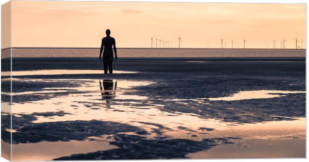 Iron Man reflecting in the pools of water Canvas Print by Jason Wells