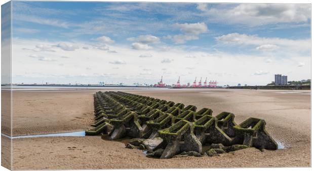 Honeycomb sea defence in Wallasey beach Canvas Print by Jason Wells