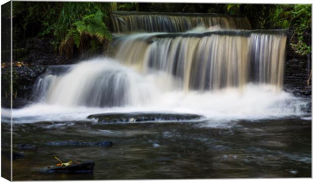 Series of cascades on the Rivelin River Canvas Print by Jason Wells