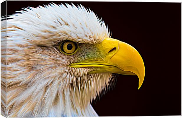 Portrait of a Bald Eagle Canvas Print by Jason Wells