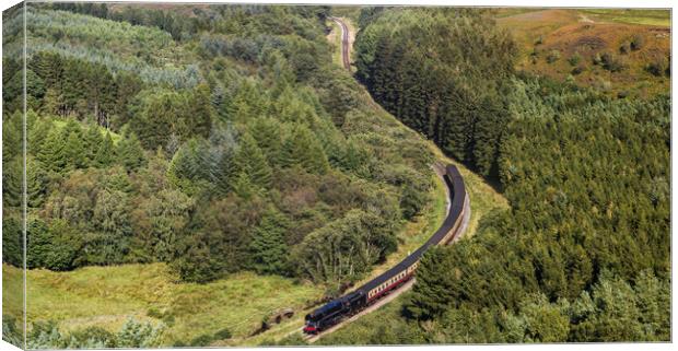 Steam train navigating a valley Canvas Print by Jason Wells