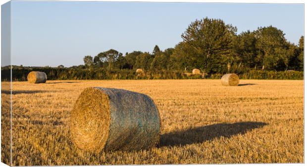 Hay bales in a small field Canvas Print by Jason Wells