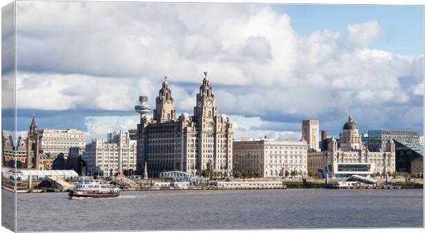 Royal Iris crossing the River Mersey Canvas Print by Jason Wells