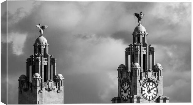 Liver Birds above Liverpool Canvas Print by Jason Wells