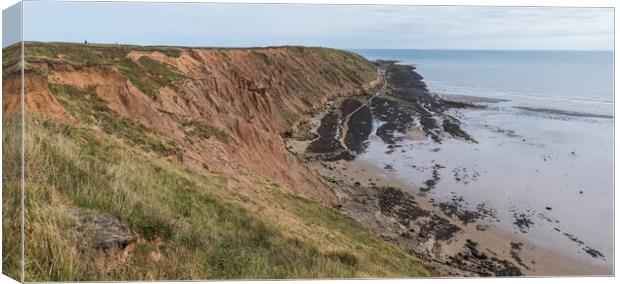 Filey Brigg cliffs and rock pools Canvas Print by Jason Wells